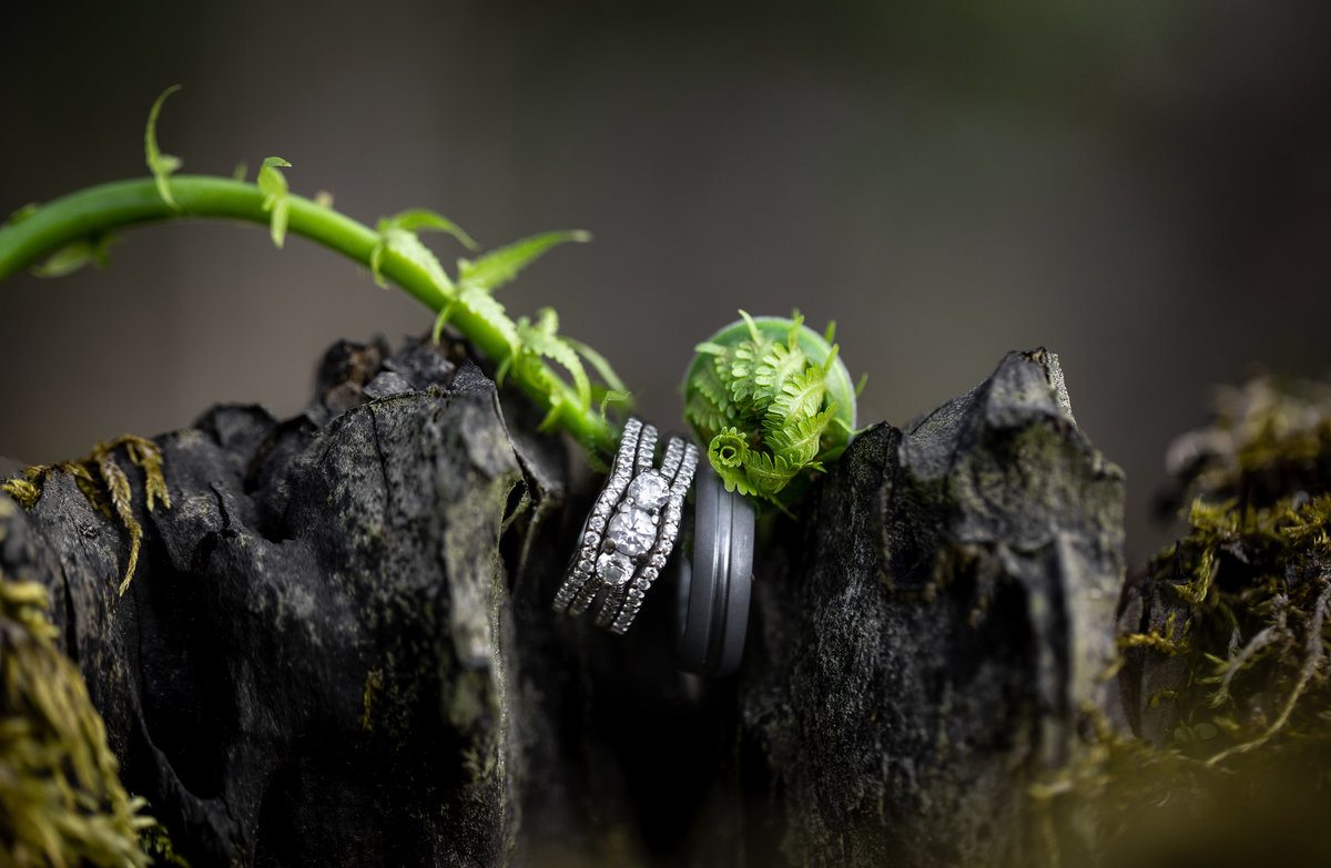 Wedding Rings_Fine_Art_Wedding_Photographers_Croi_Photography_Jena and Brandon Carlin Rings_JCM41077_3-Web