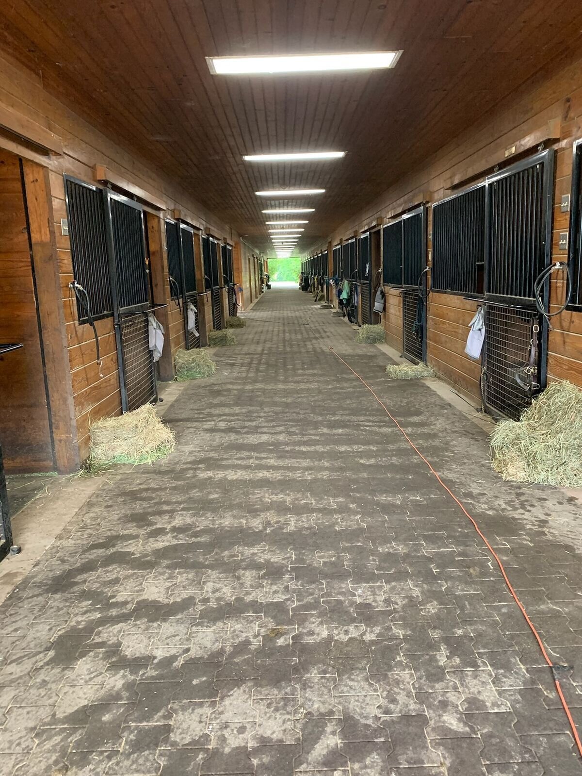 jp-dressage-kynynmont-farm-pa-23