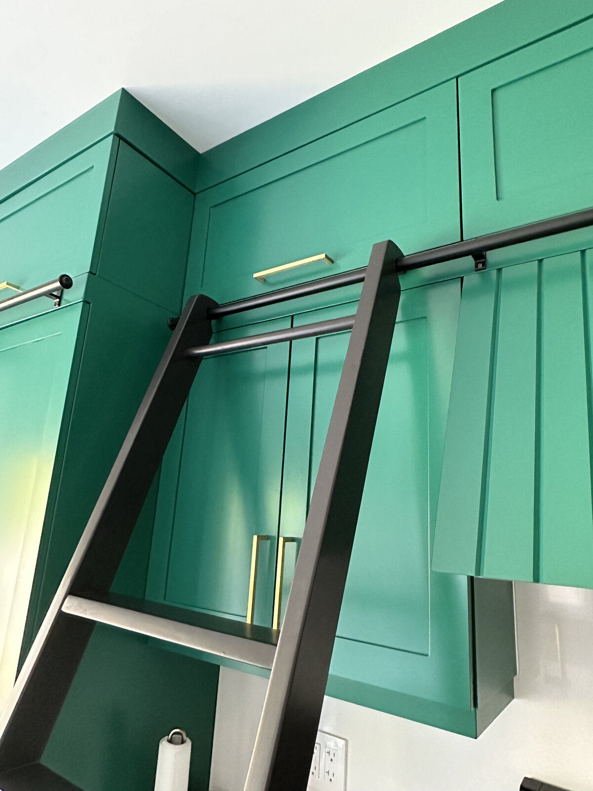 Emerald Green with Envy Kitchen Renovation Interior Design (24)