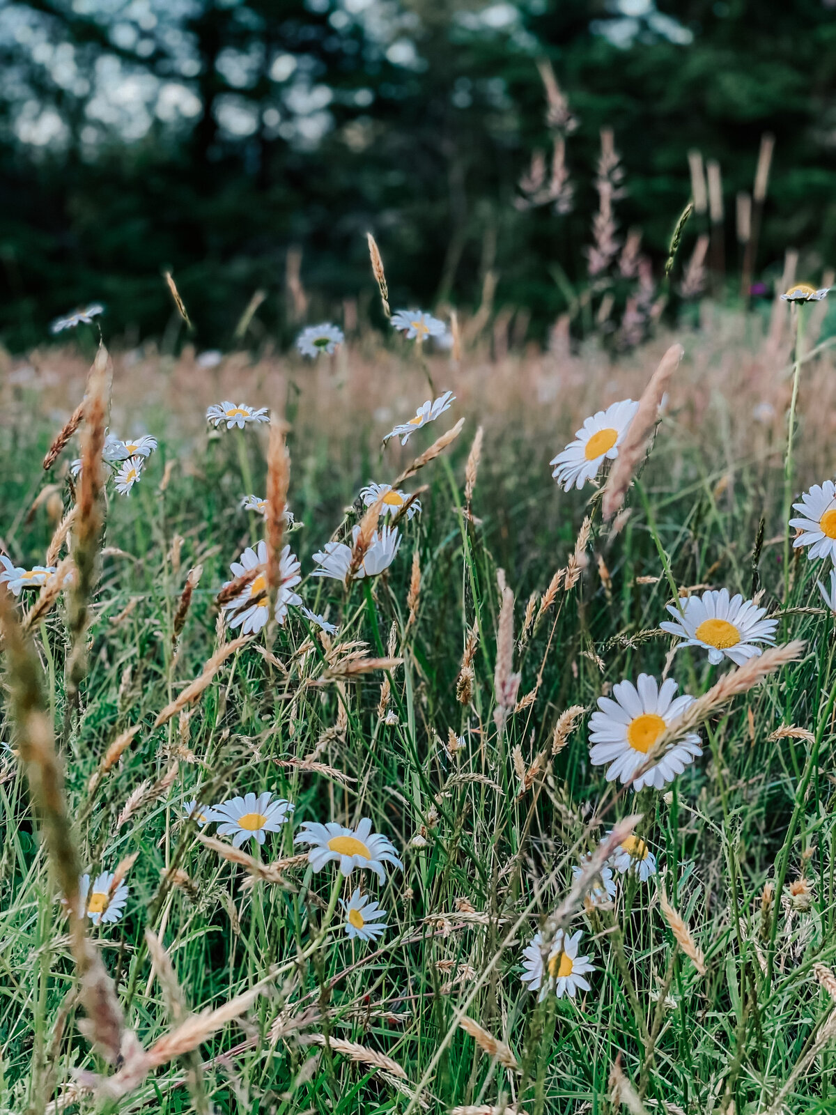 Jen-White-Photography-20
