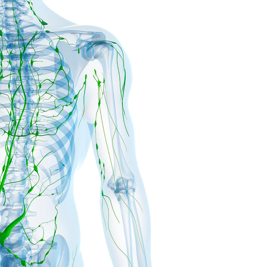 Lymphatic Drainage Massage