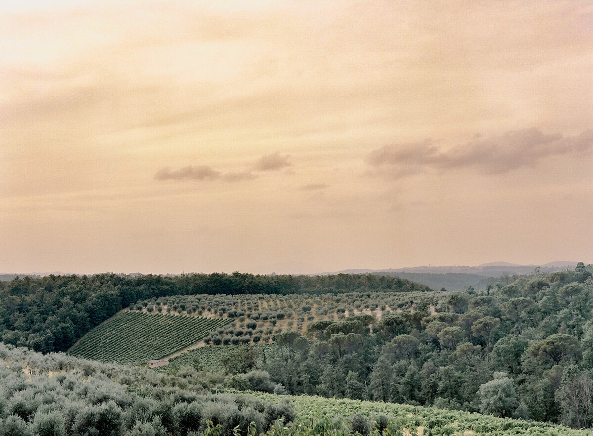 Tuscany-Wedding-Planner-For-Love-Of-Love-93