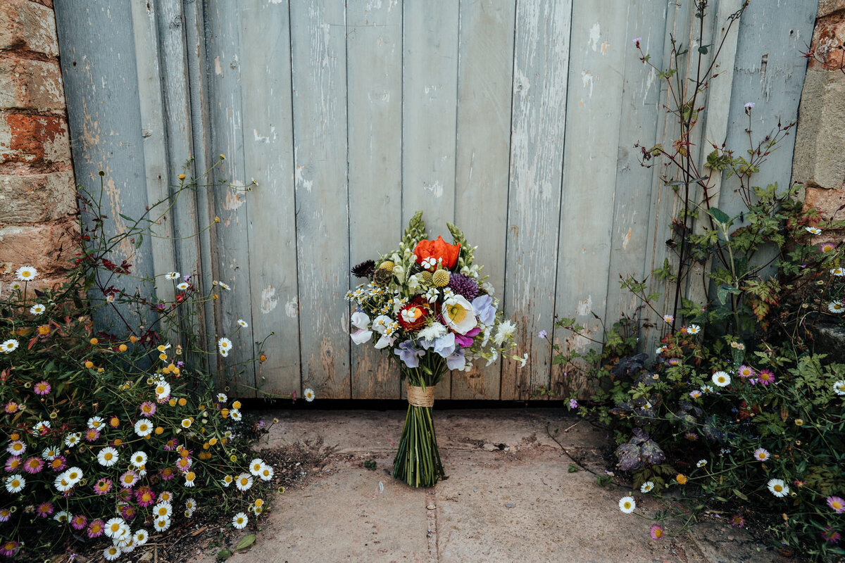 Andie_Dan_Huntstile_Organic_Farm_THISANDTHAT_PHOTOGRAPHY_24