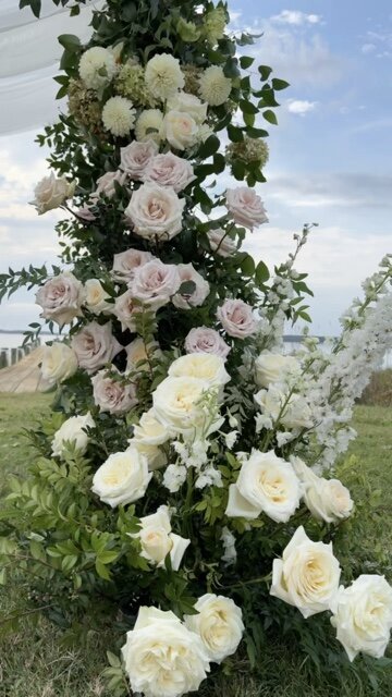 5A4AF268-D87A-42BC-A4D3-2E05898C9E0E_4_5005_c