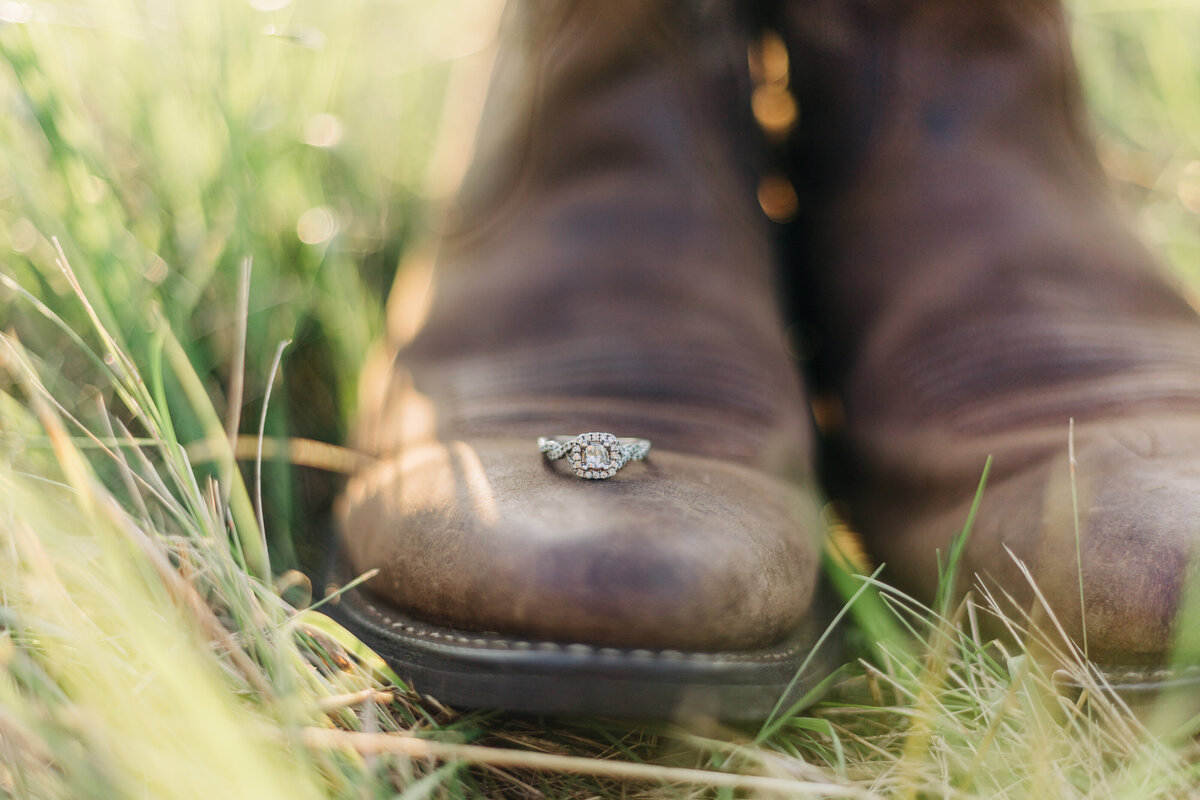 michigan-engagement-session