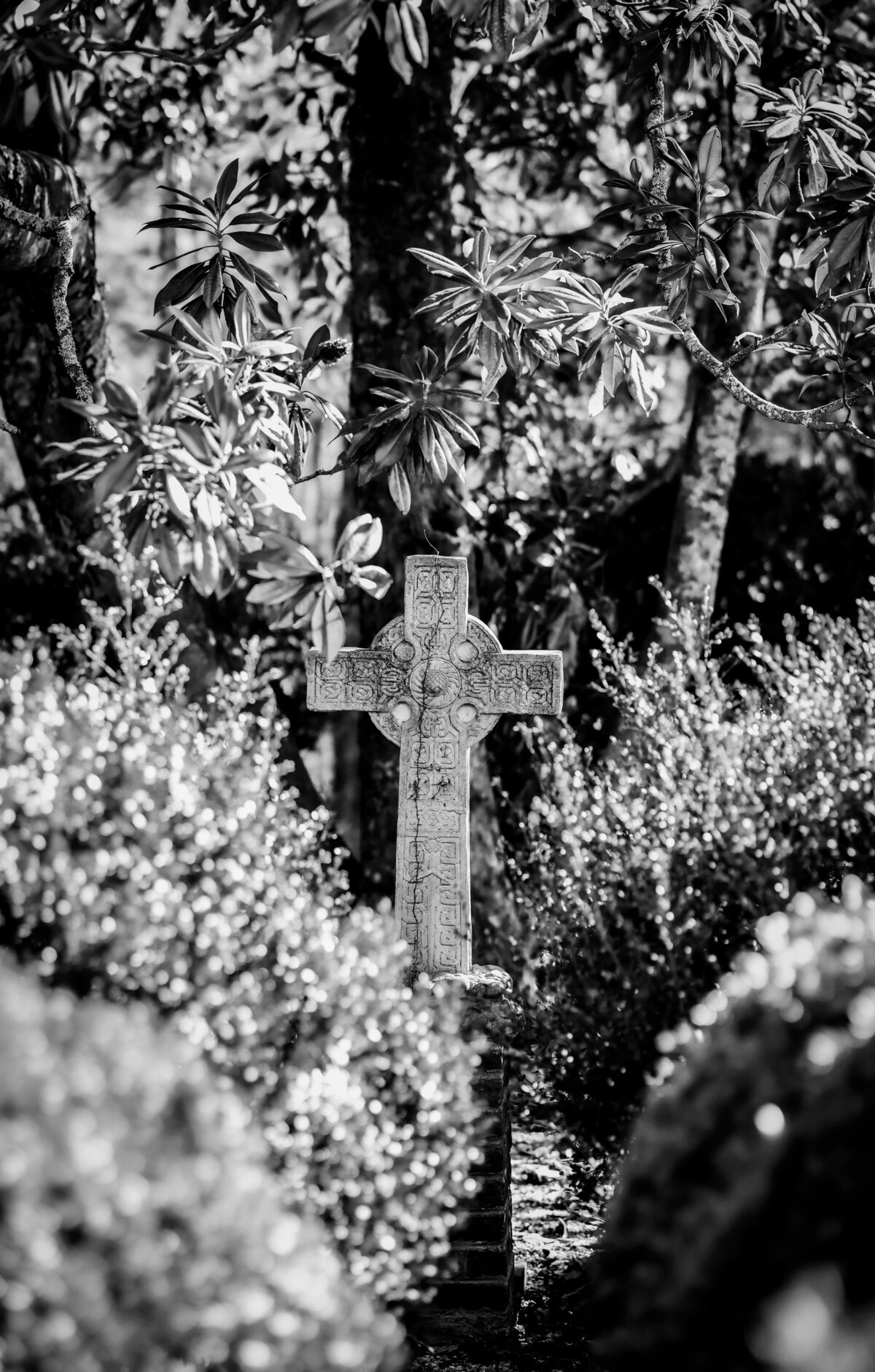 Untitled-661