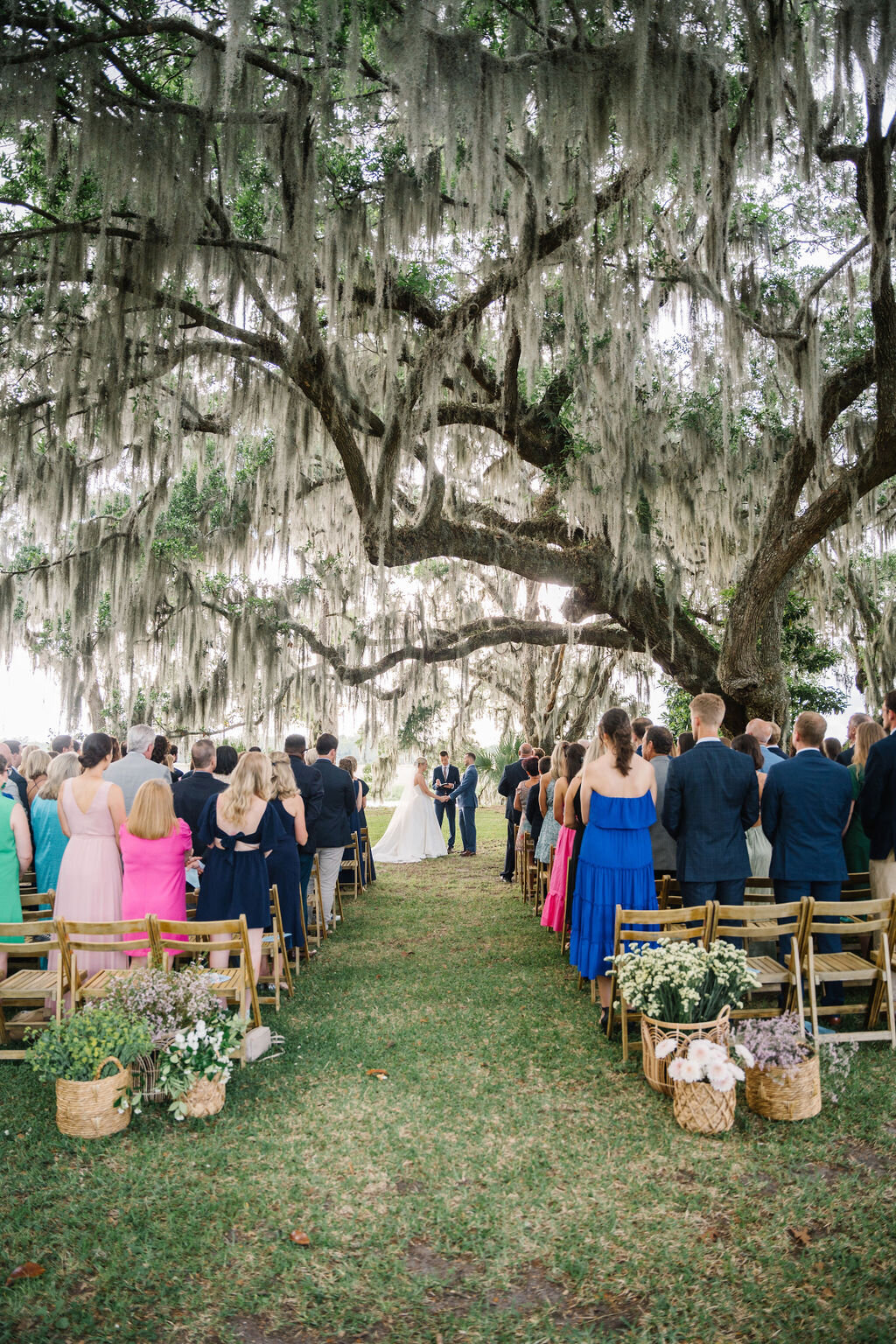 Wedding ceremony under a large mossy oak tree