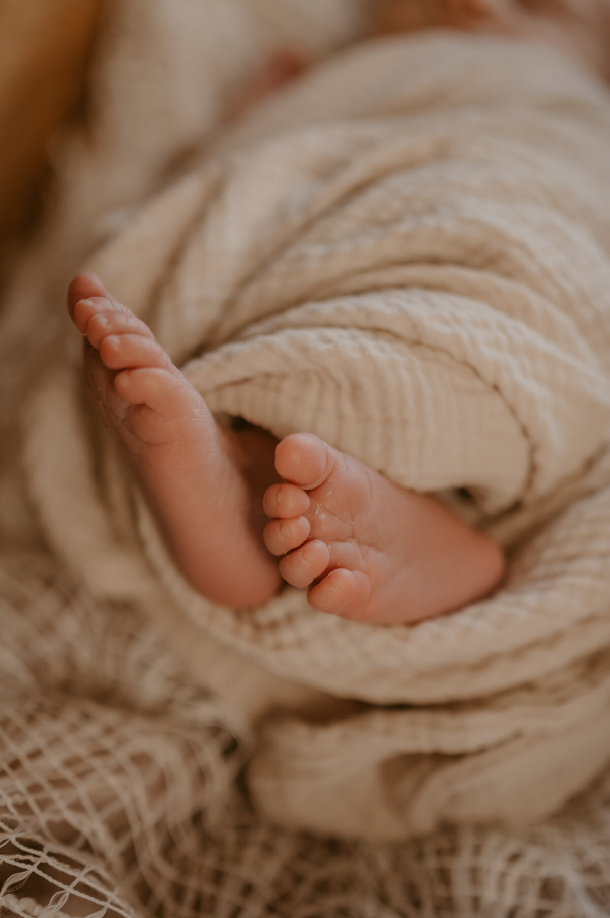 wisconsin_newborn_photographer | Grace + Honey Photo-35