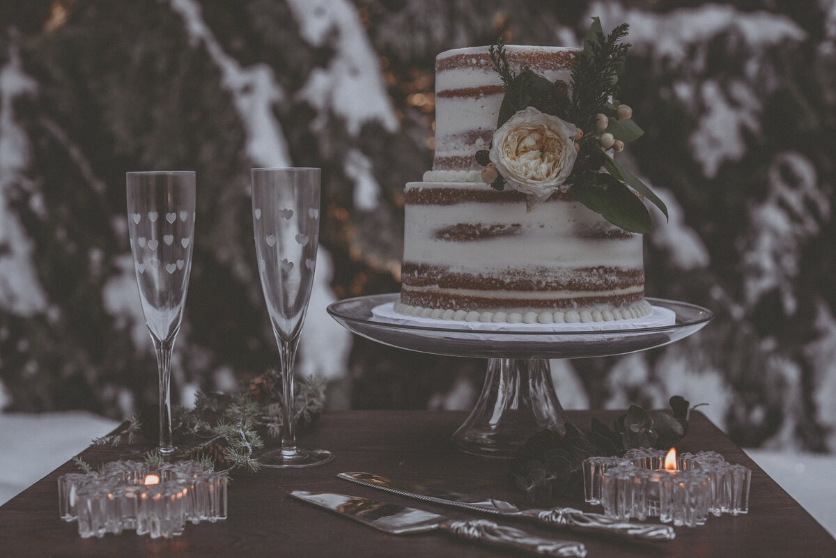 PNW_Elopement_Photographer_Winter Elopement_Tiffanyrudephotography-2021