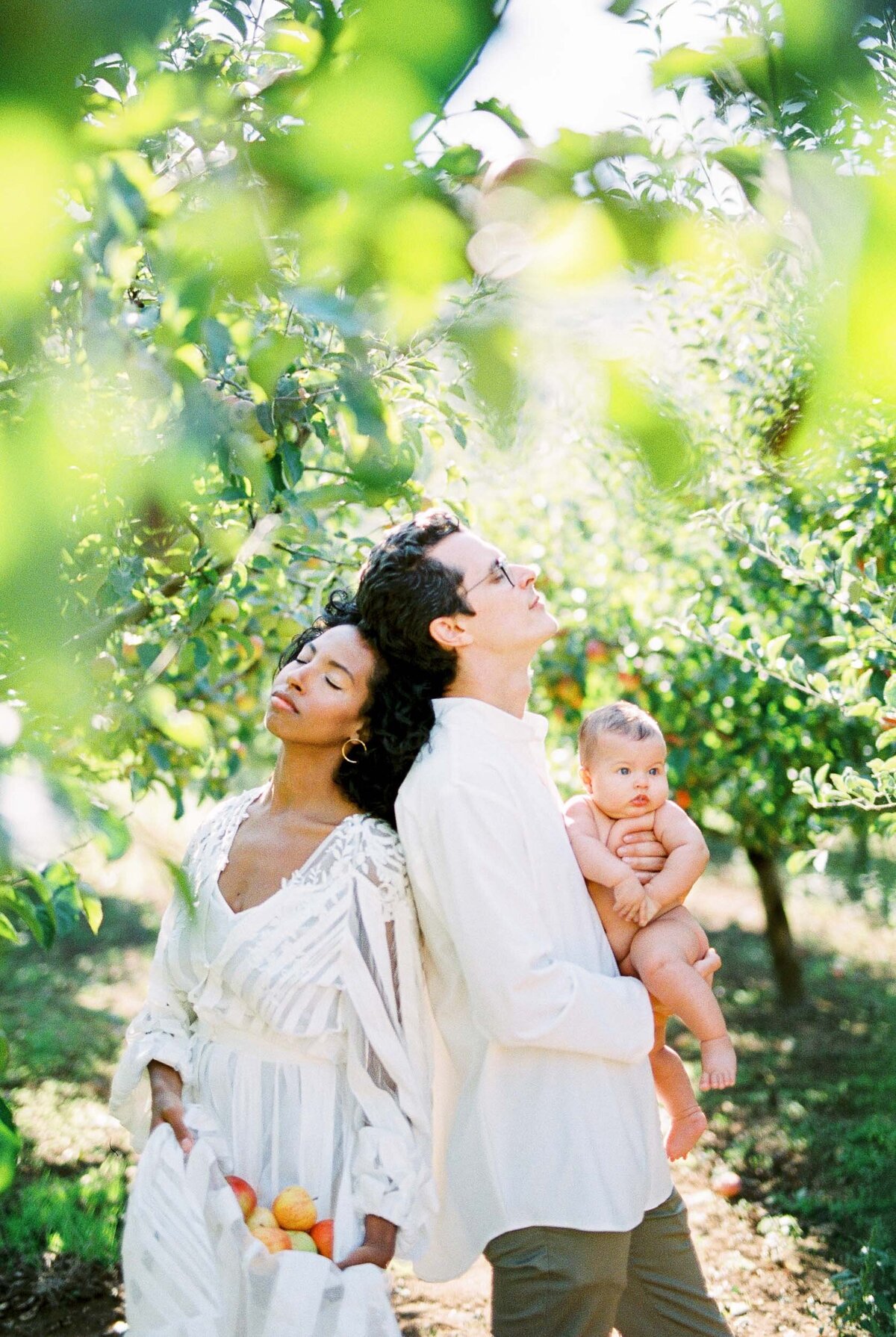 Family 2500px-1051