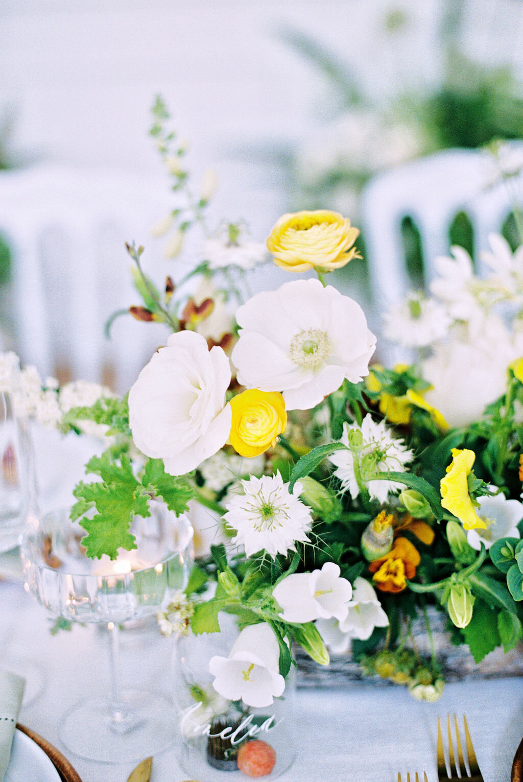 EstherFrederickPhotography217