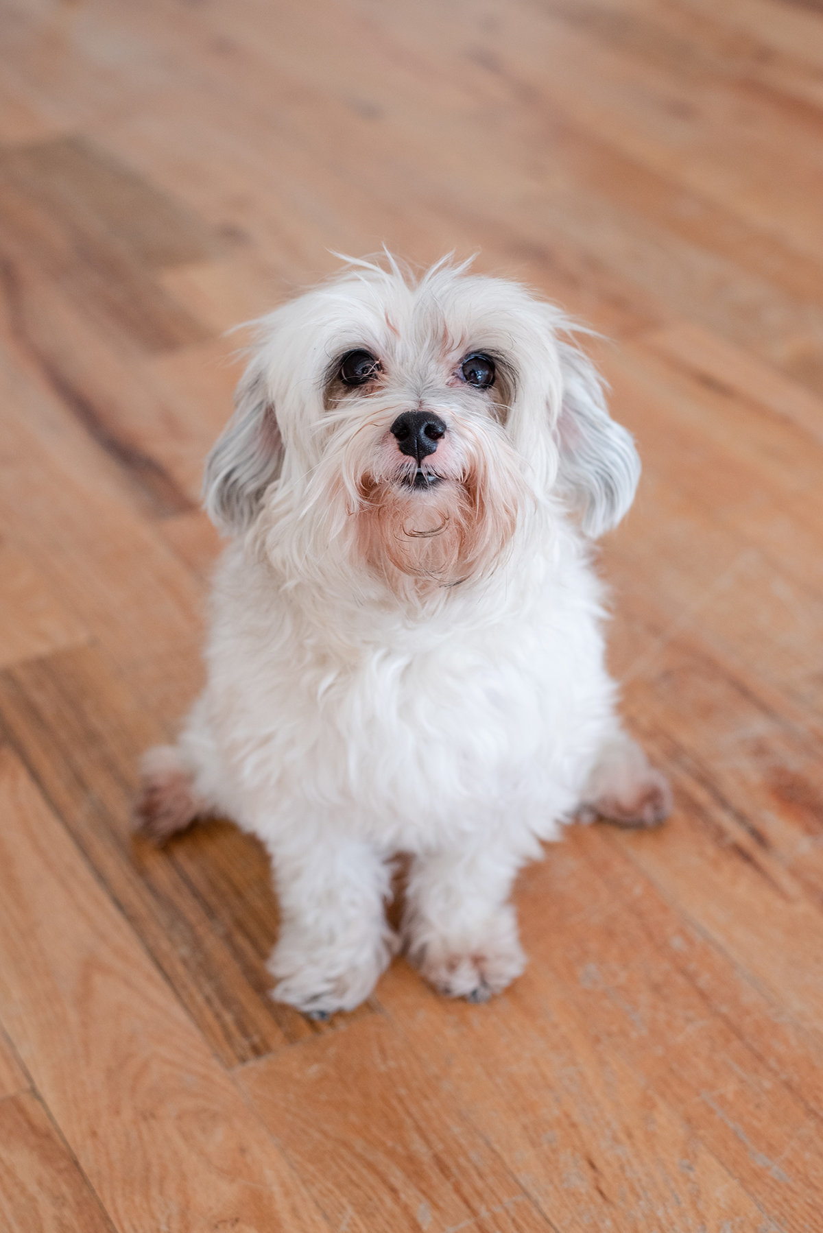 2.2.19.ColinDiana-185