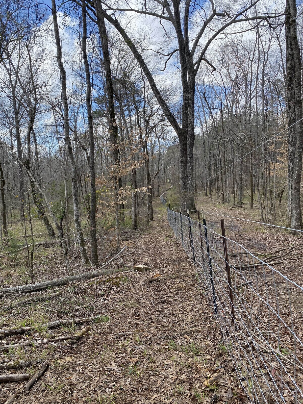 wire-fencing-in-wooded-area