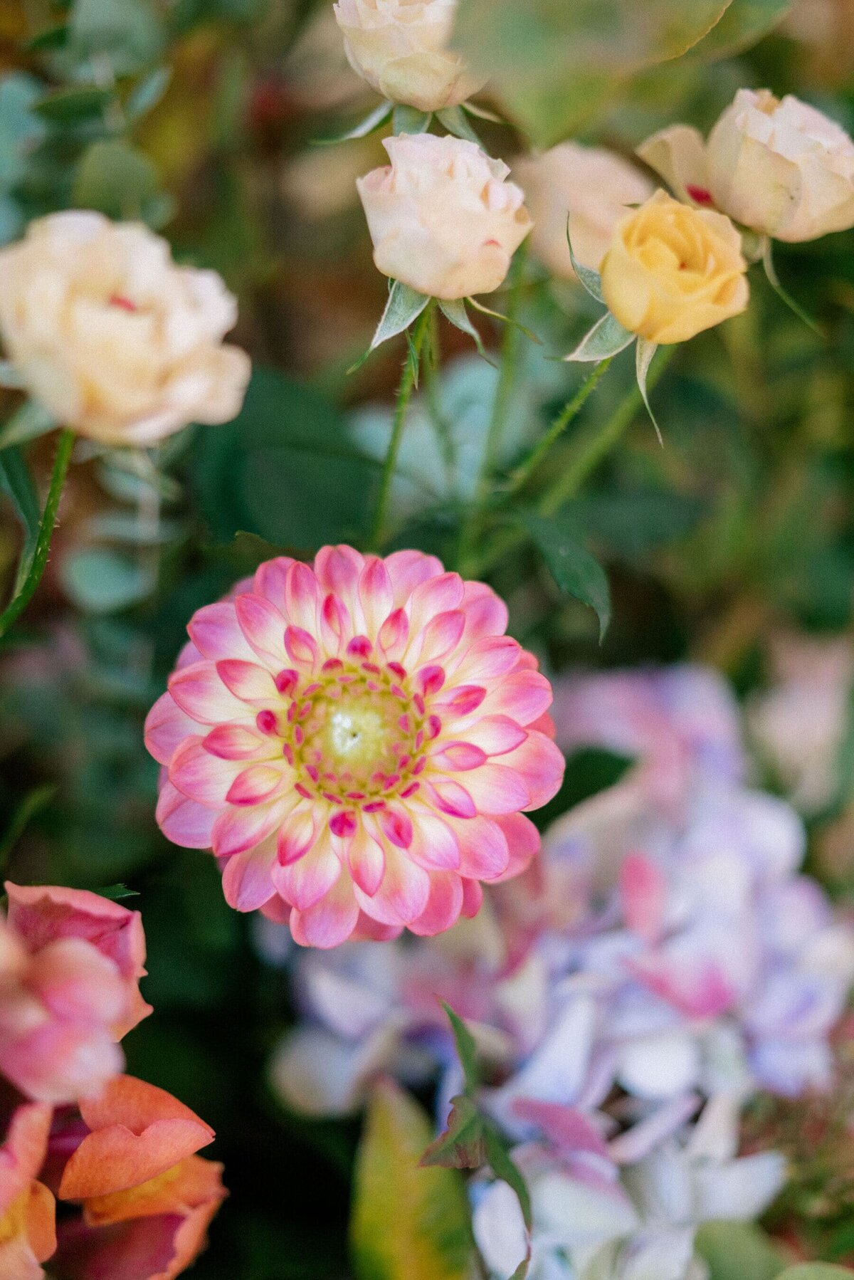 fleurs-naturelles-et-coloree-wedding