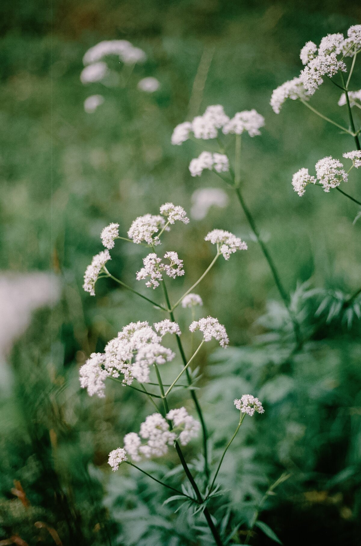 new-england-wedding-photographer171