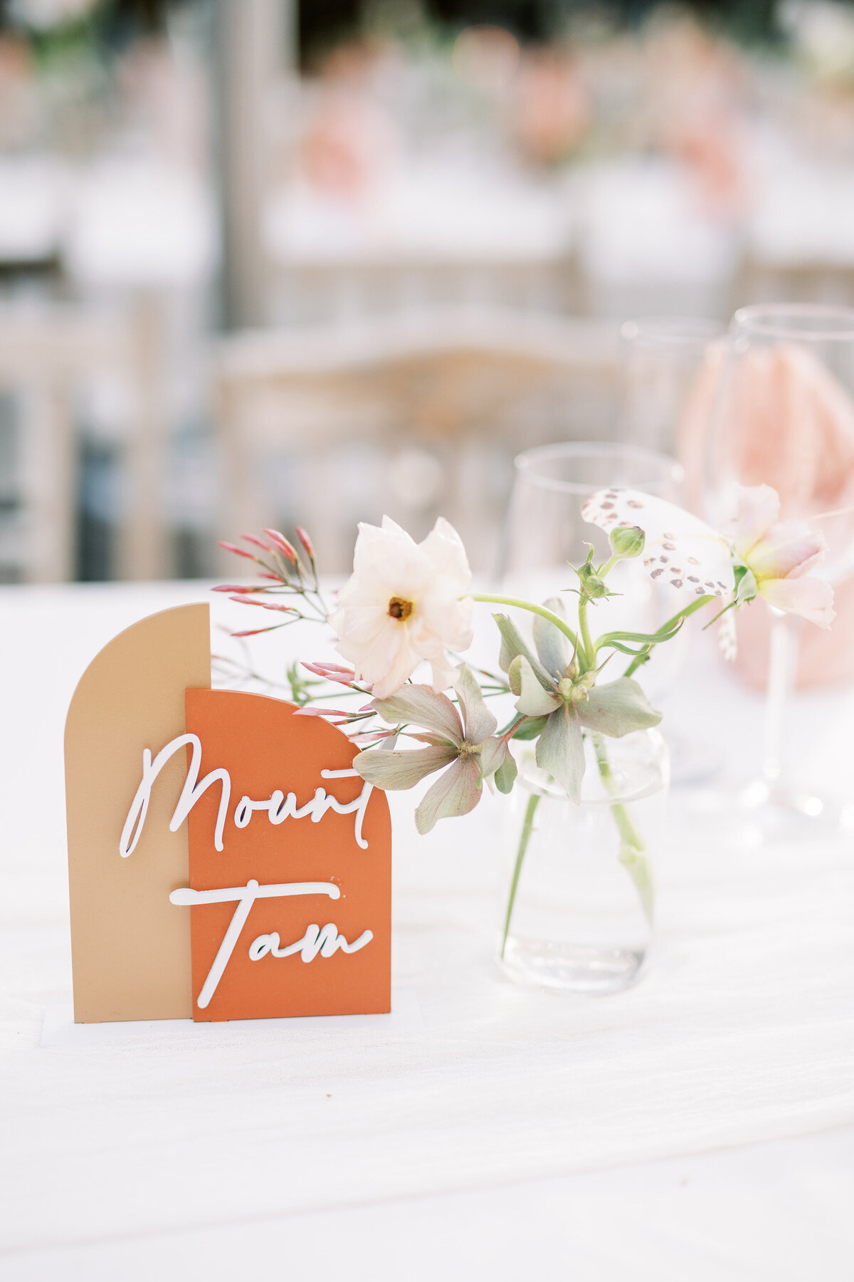 SS_TripleS Ranch_Calistoga Wedding-715