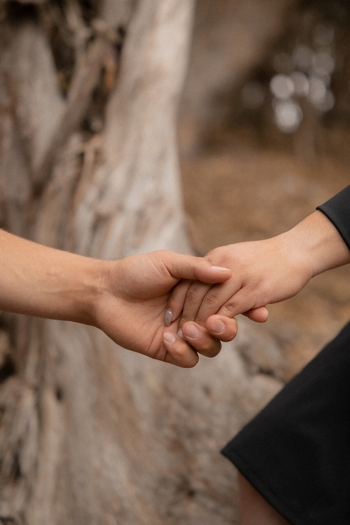 Montana De Oro Couples Engagement Photos
