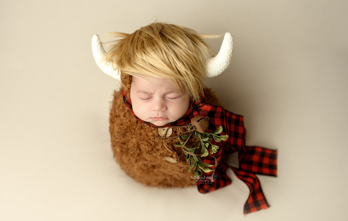 Indianapolis newborn photographer, newborn photography in Lafayette IN, newborn photographer near me, newborn portrait studio