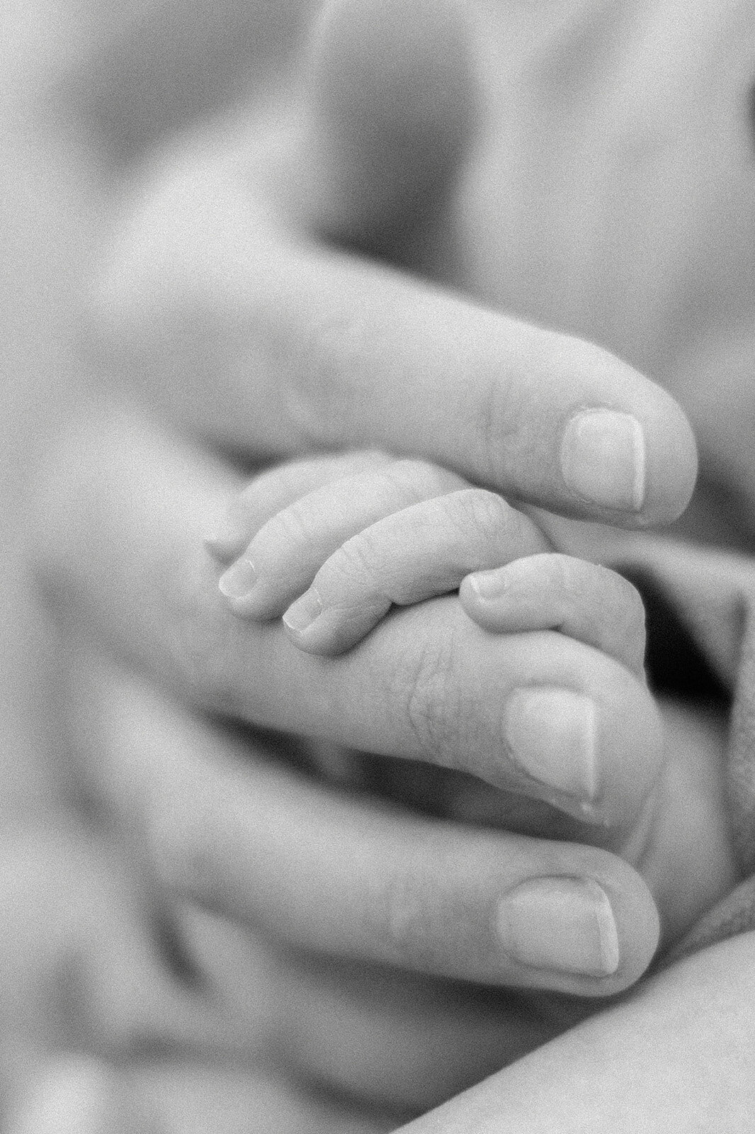 BabyLottie2024-86_websize