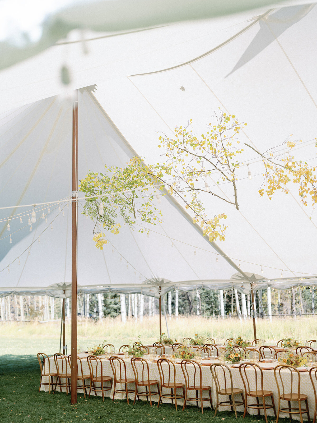 Aspen fall tented wedding at t lazy 7 ranch_RxL-53