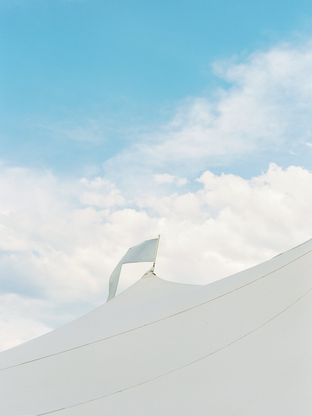 t-lazy-7-wedding-55