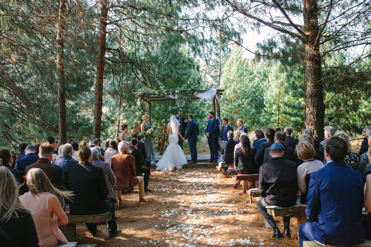Outdoor ceremony in a pine forest where the bride and groom are committing their vows to one another. 