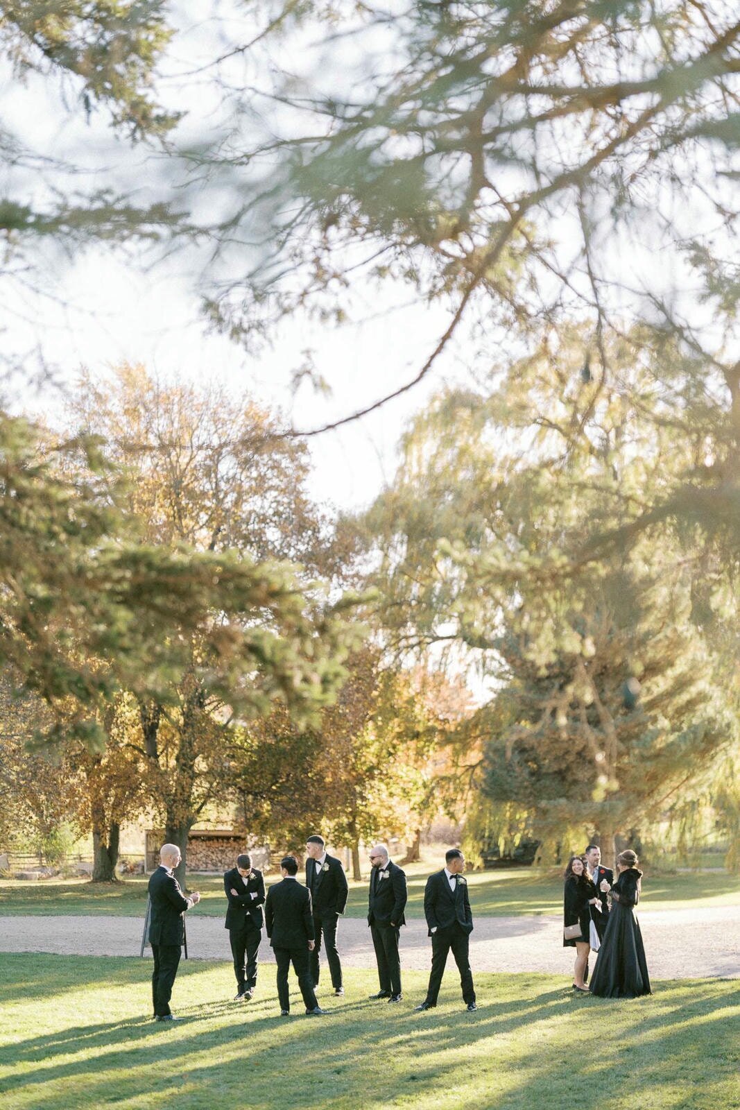 W11-Wedding-Photos-Caledon-Valley-Estate-Eleanor-and-Michael-2024-11-02-2500px-1132