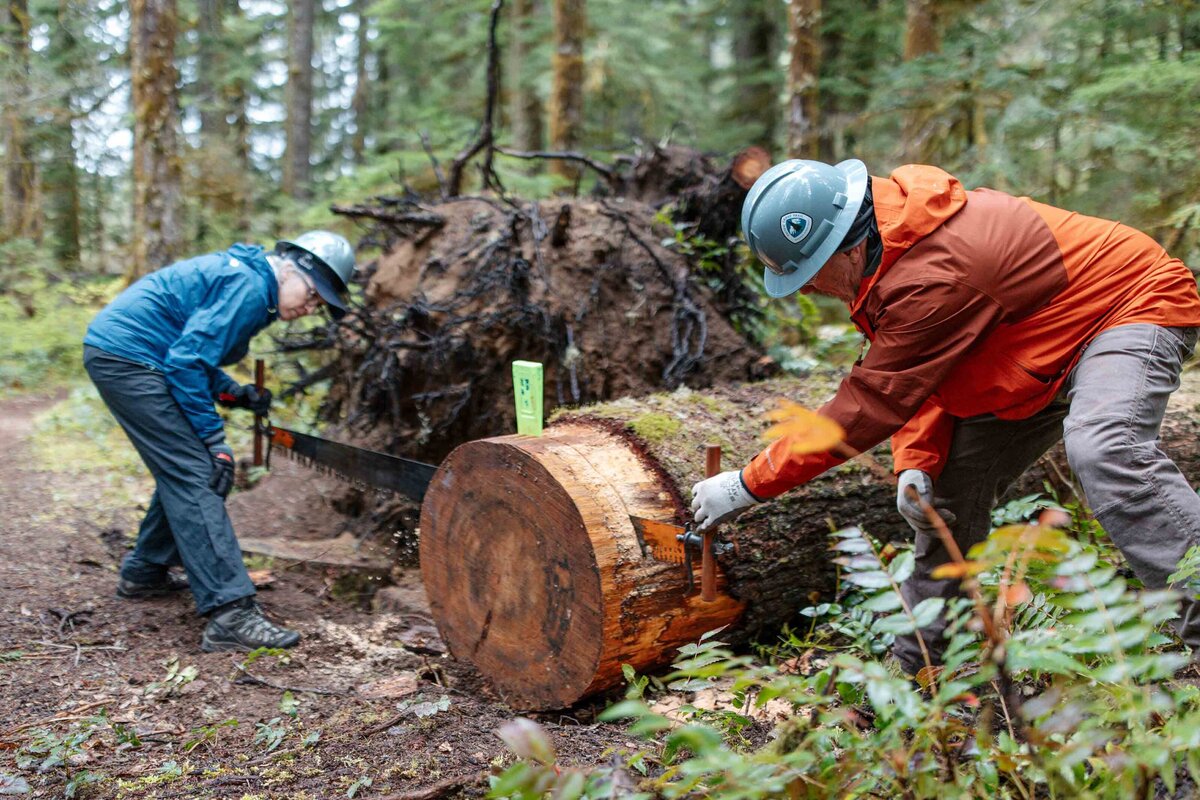 pacific-crest-trail-association-work-crews-hike-15