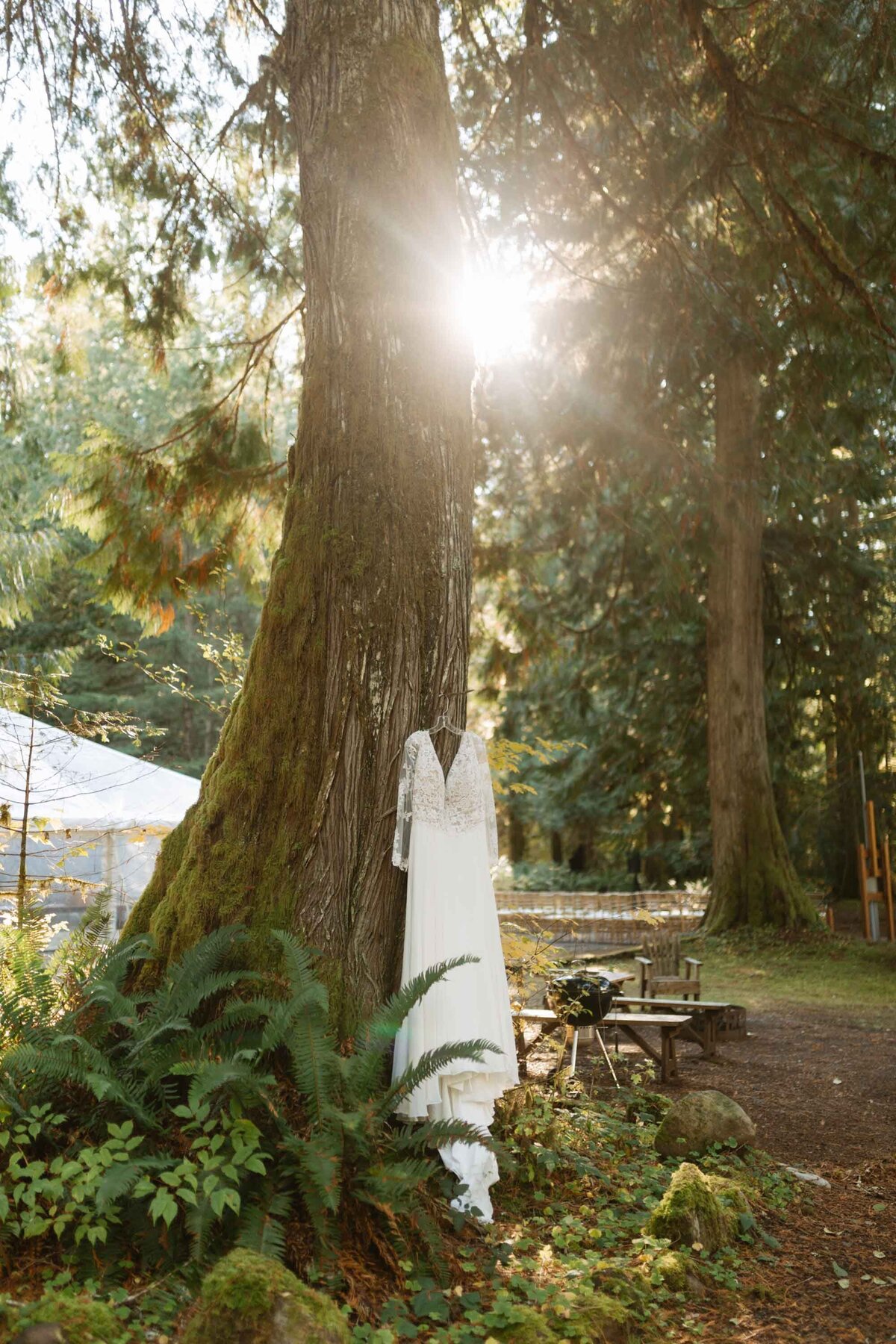 Ashford Wedding2