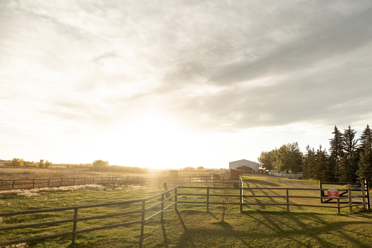 A tranquil landscape of Spirit’s Respite Ranch near Calgary, Alberta, showcasing its peaceful surroundings and serene environment for equine therapy and personal growth