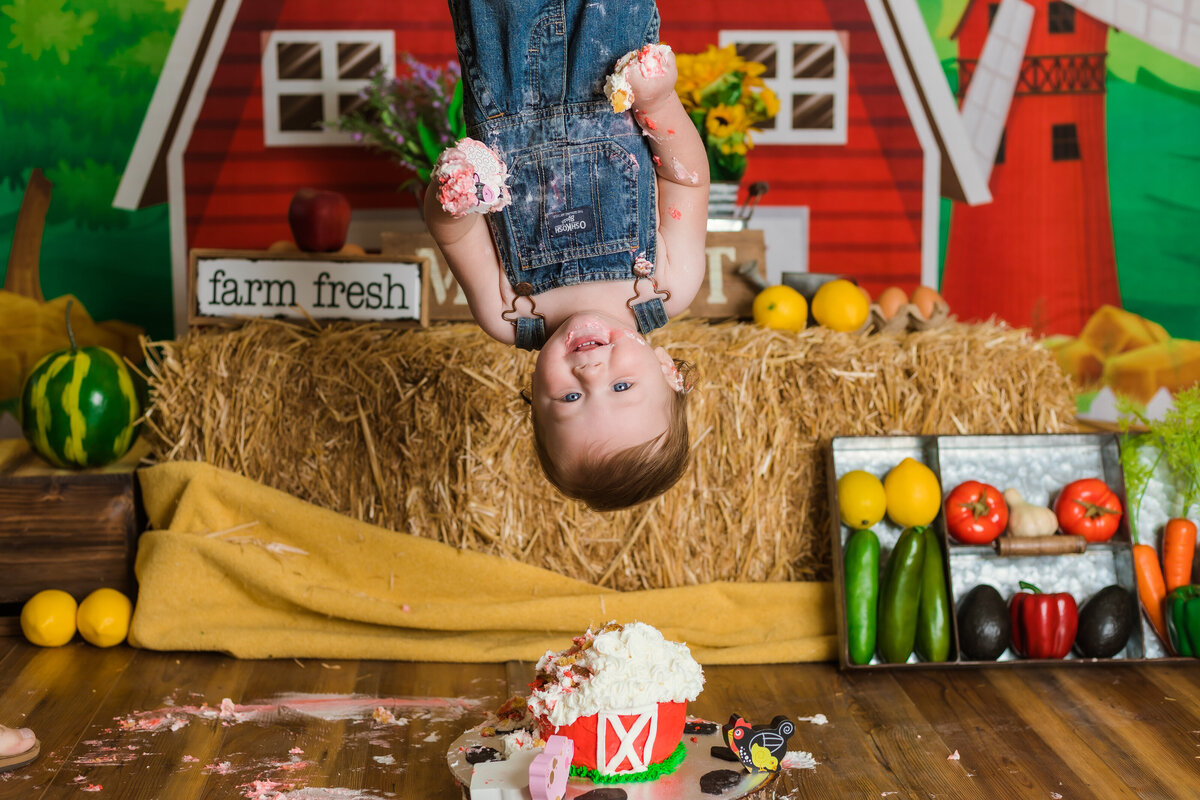 Cake Smash Photographer, a baby hangs up side down smiling atop a farm shaped cake before a farm setting