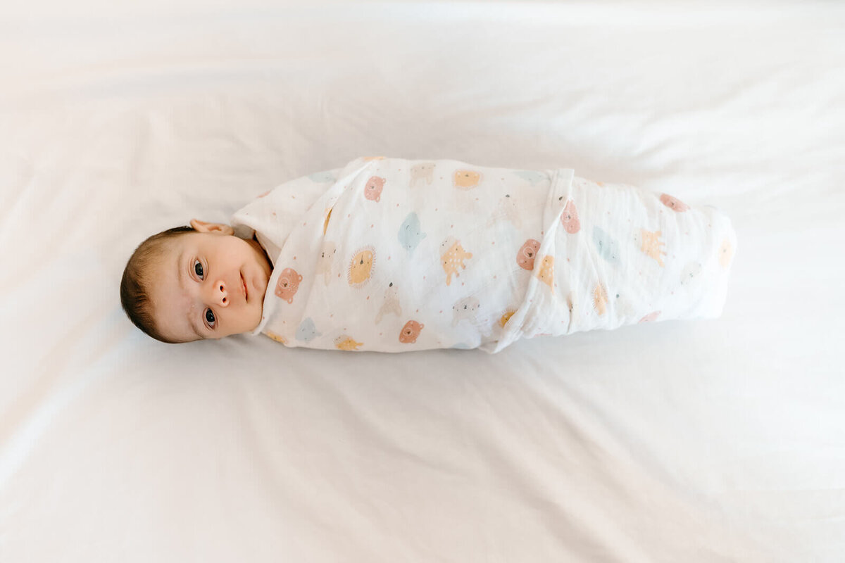 Bay Area newborn photographer capturing baby girl swaddled in soft neutral blanket during in-home session.