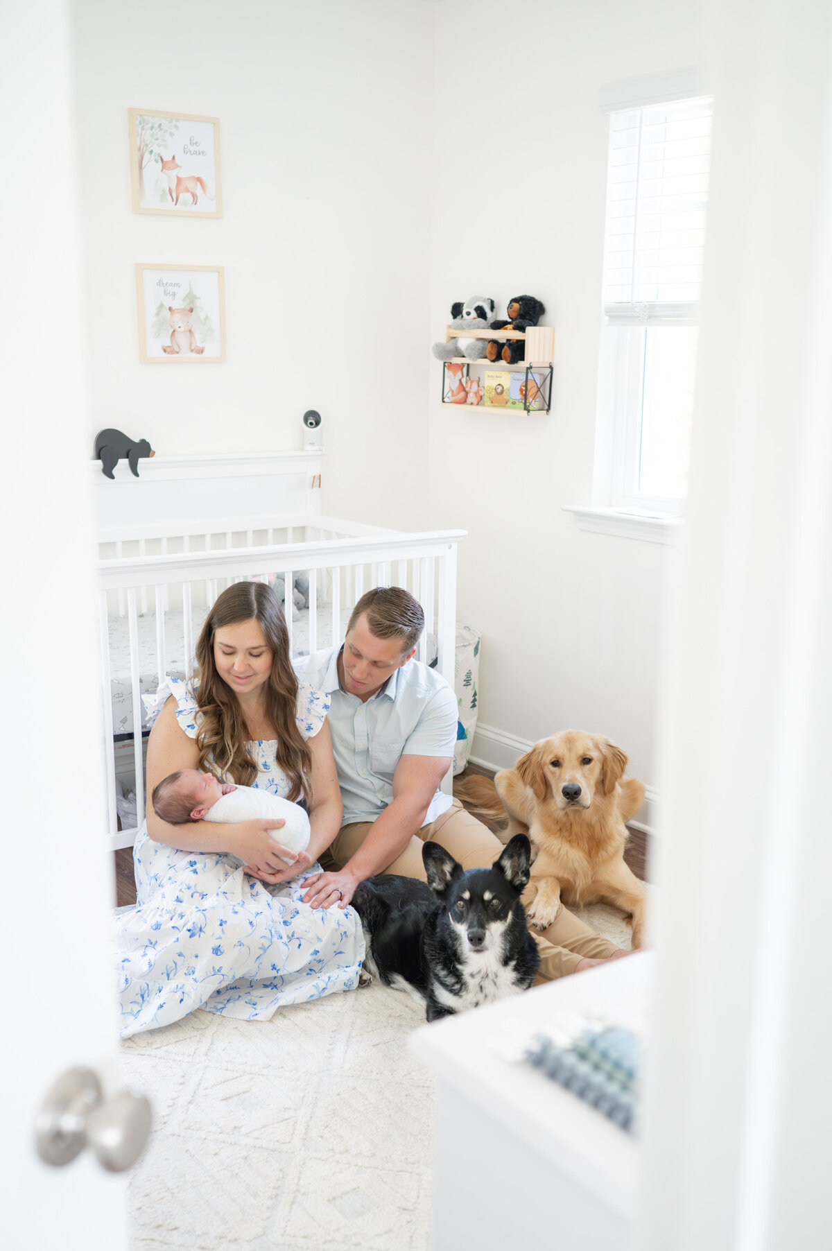 apex newborn Photography