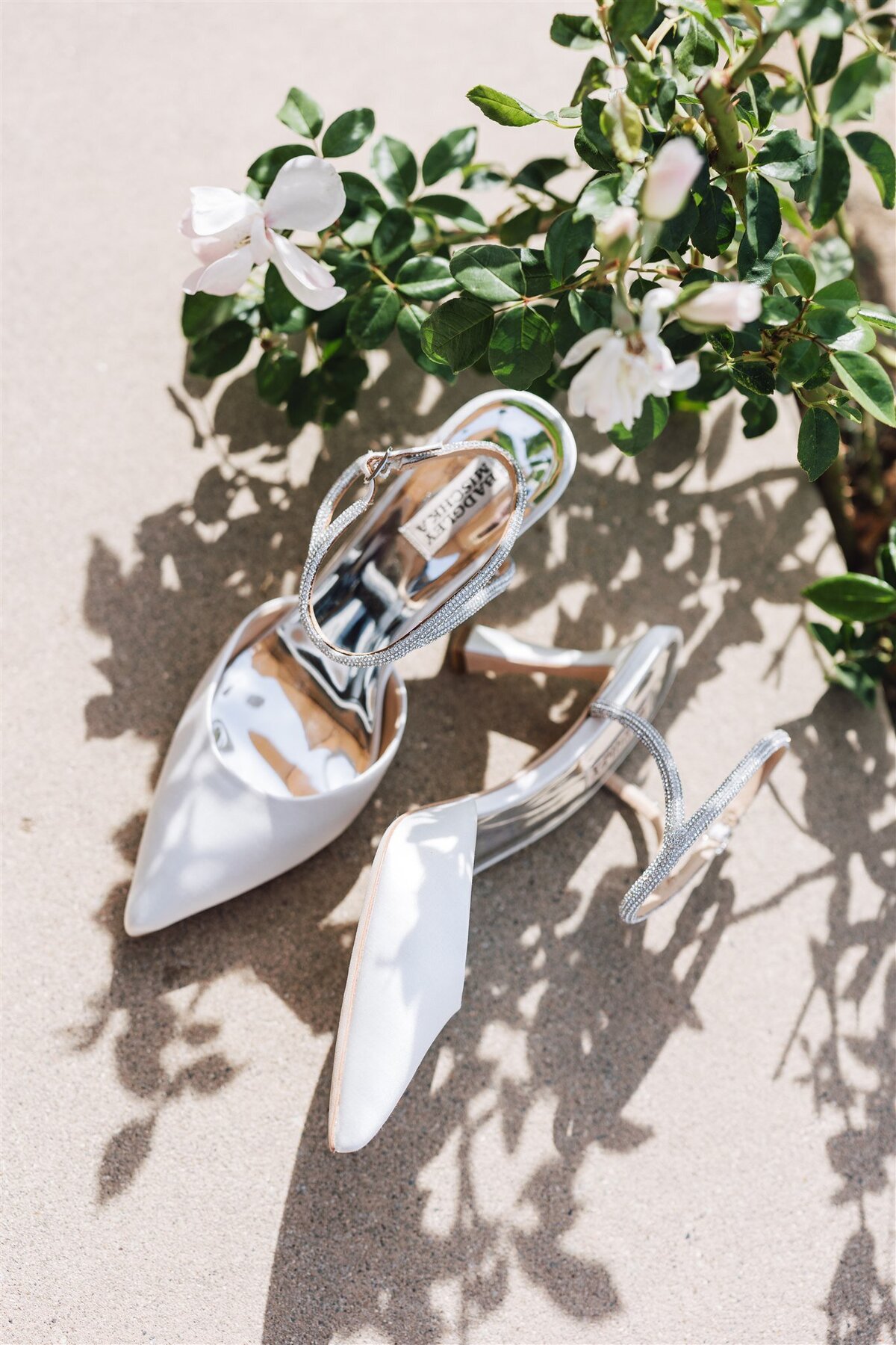 bernardus-lodge-spa-carmel-valley-wedding-gianna-ajax-ashley-carlascio-photography-0386
