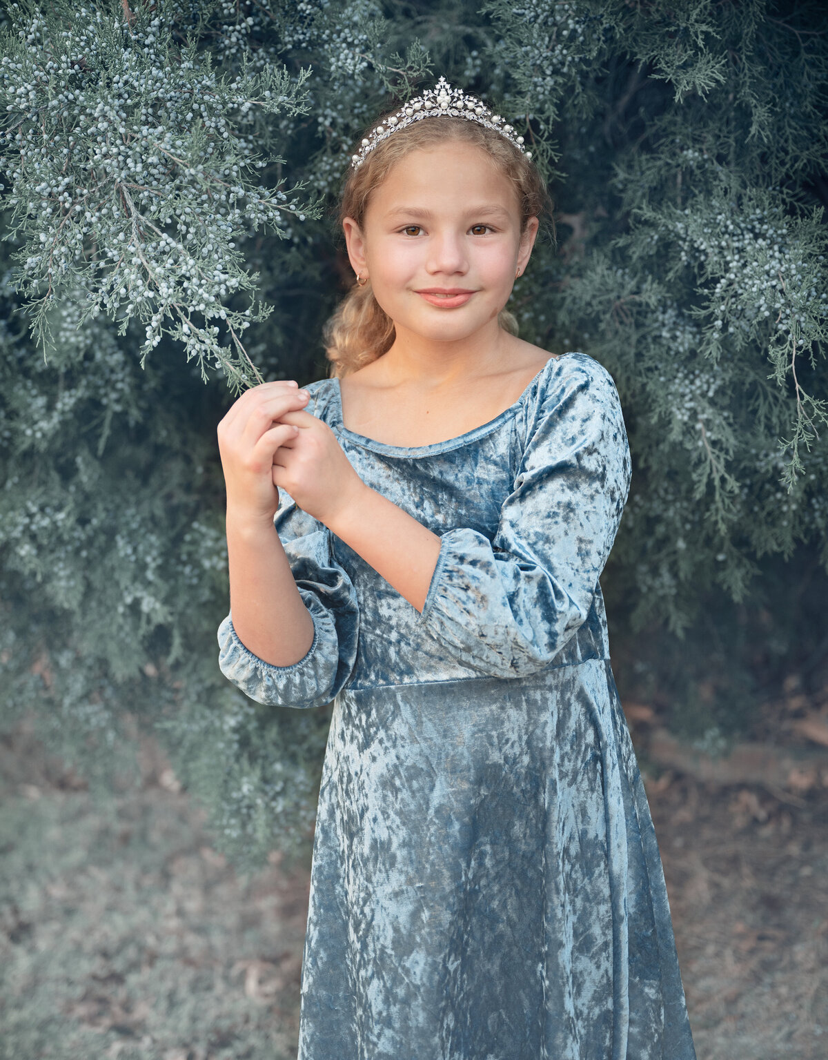 A young girl dressed in a blue velvet dress and tiara poses by a cedar tree on a foggy morning during her family's outdoor photo session in McKinney, TX.
