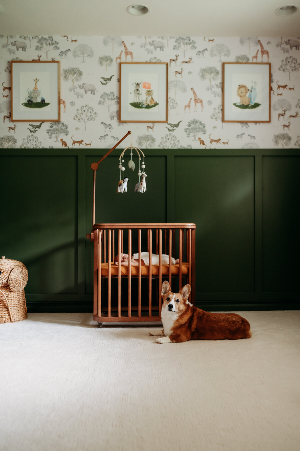 A luxury newborn photography session in Timonium, capturing delicate details and peaceful moments in soft, natural light.