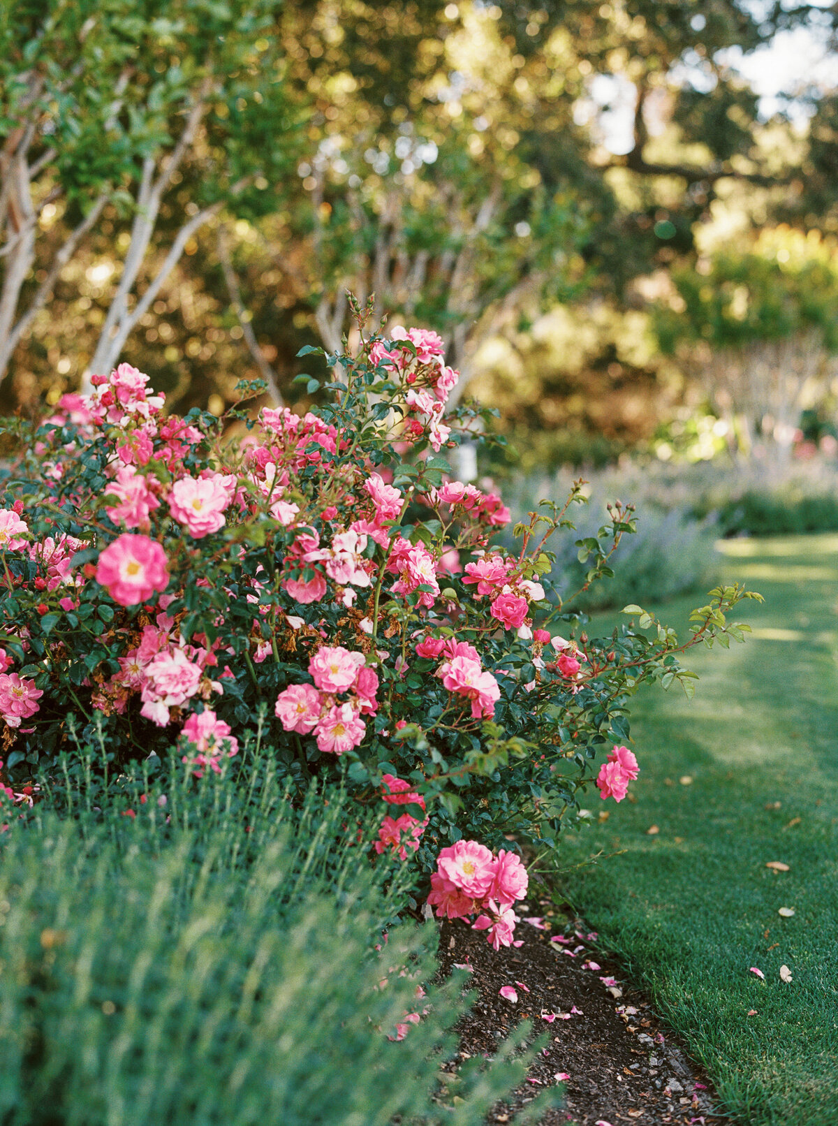 Holman_Ranch_Wedding_Carmel_CA_Jen_Rodriguez_002