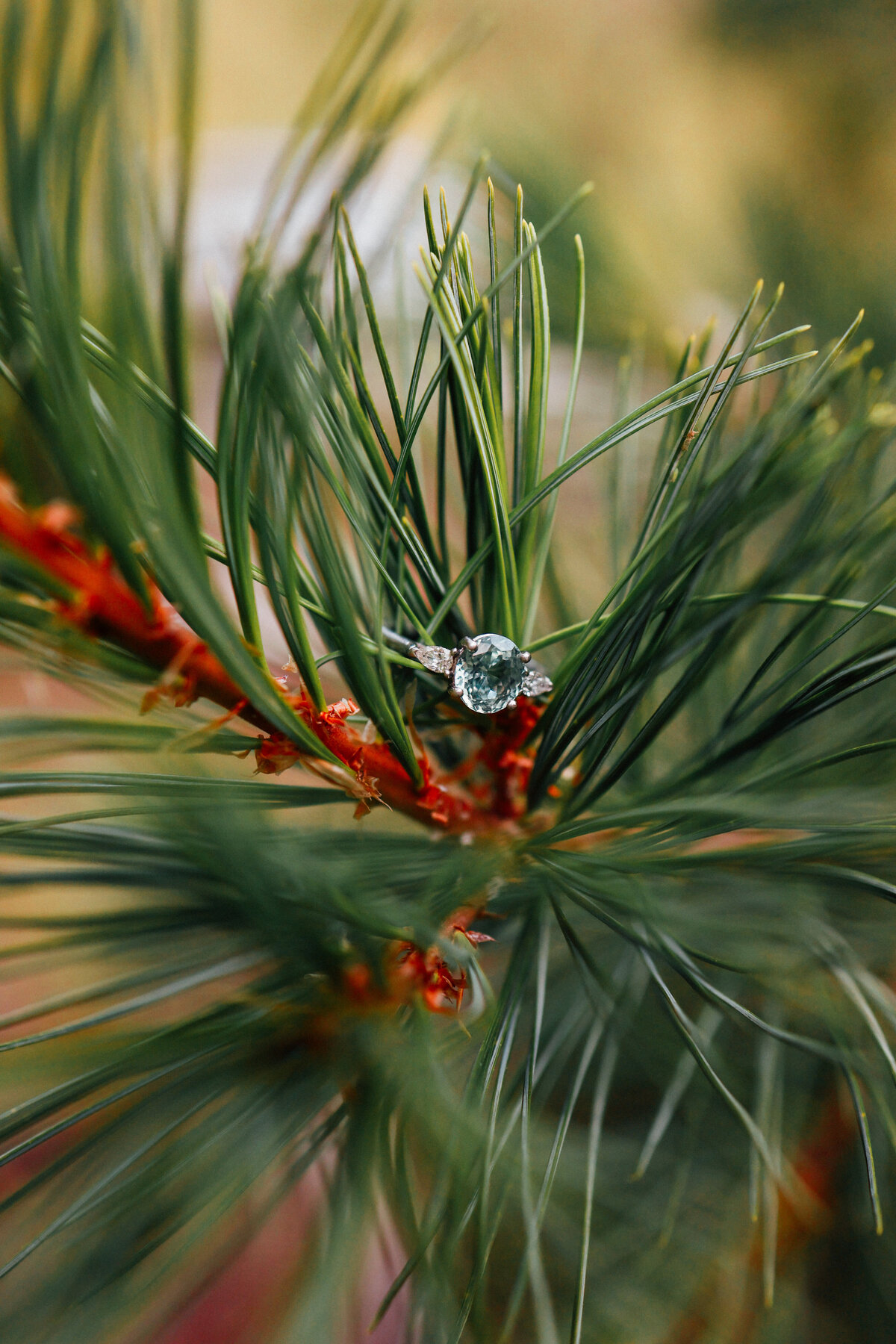 23Seattle-Wedding-photographer-associate-sydney-153