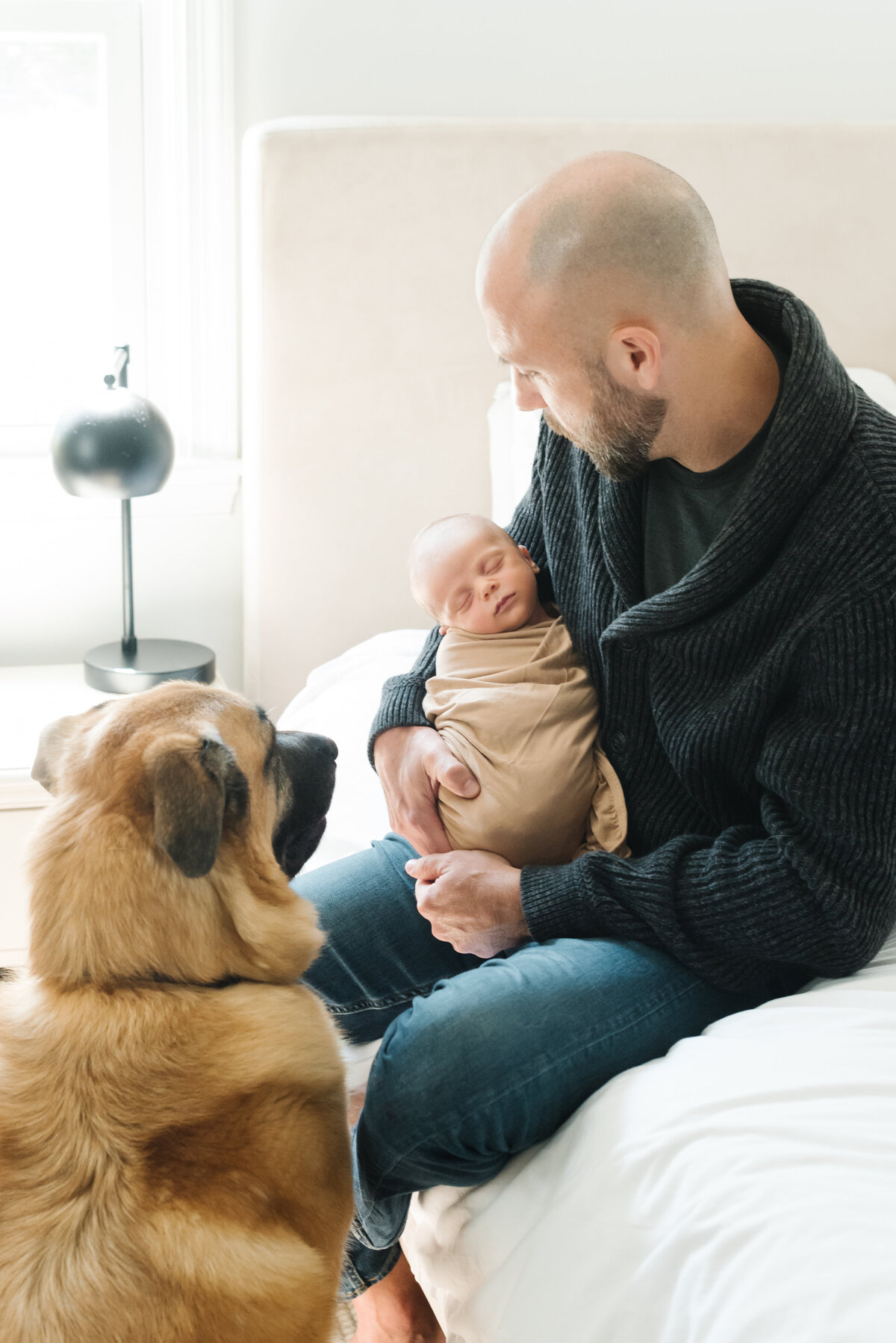 Dad holding newborn while dog looks on - Northern Virginia Newborn Photographer