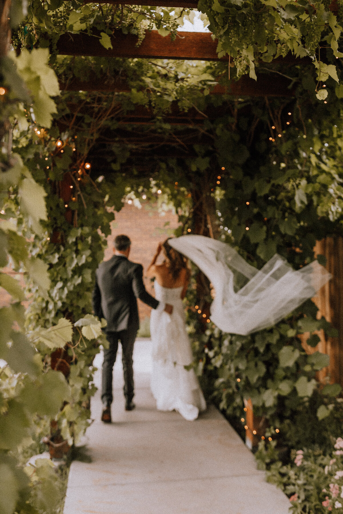 just married at vineyard