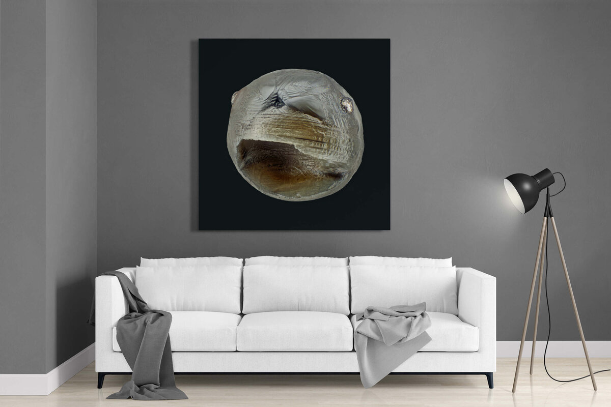 Fine Art featuring Project Stardust micrometeorite NMM 2365 Matte Dibond Panel for space inspired interior design
