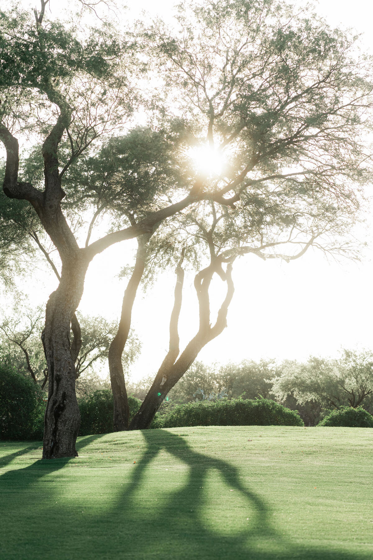 La Mariposa Tucson wedding day photo with Arizona desert sky
