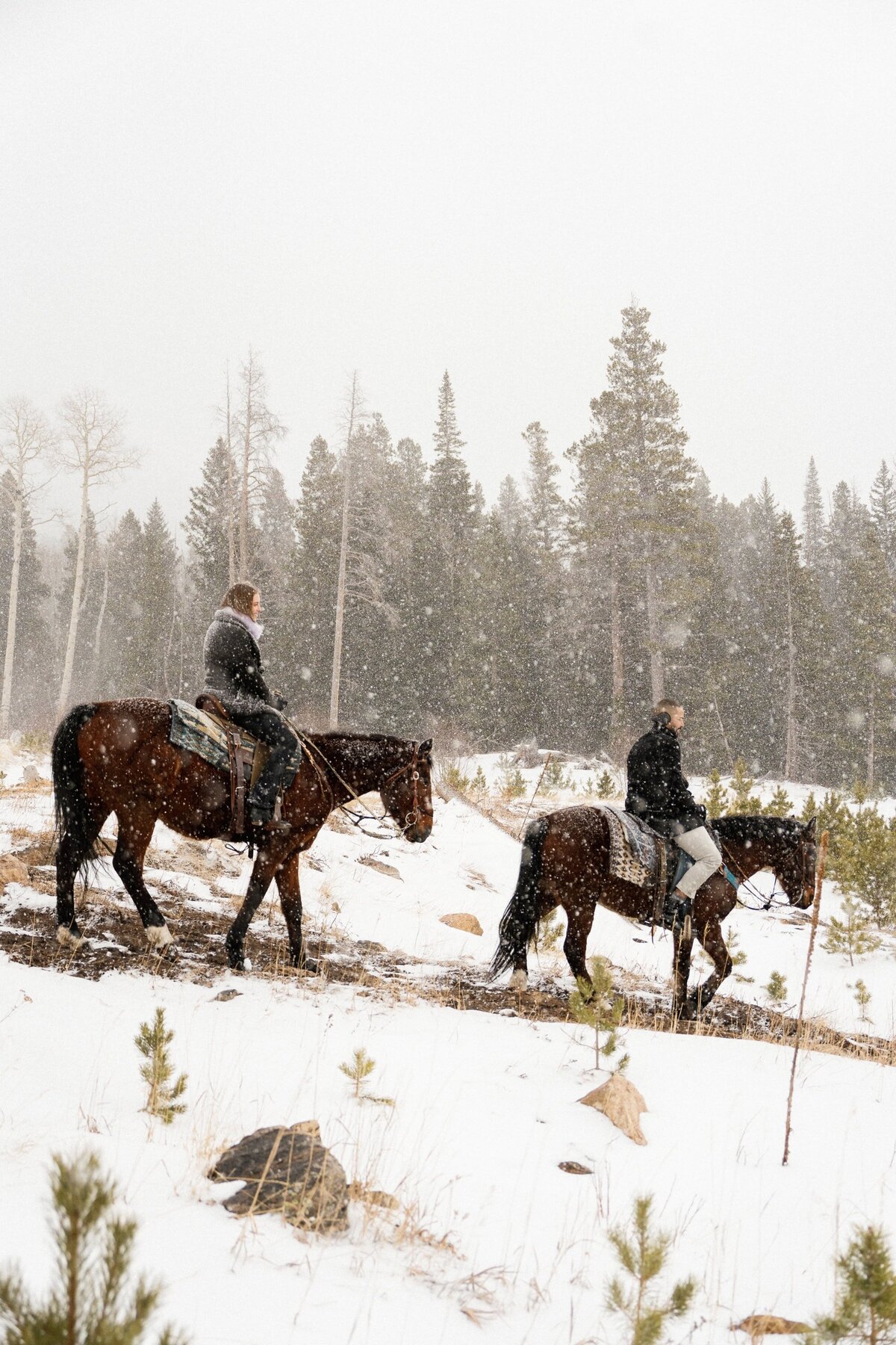 Horseback riding proposal