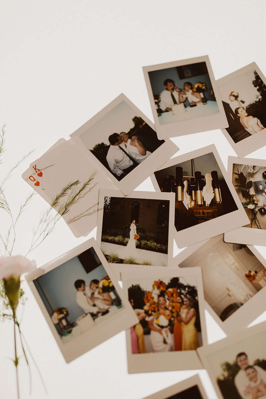Polaroids-1