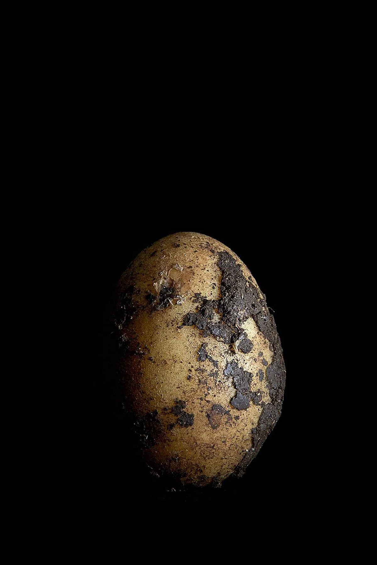 fooddrinks_photography_potato