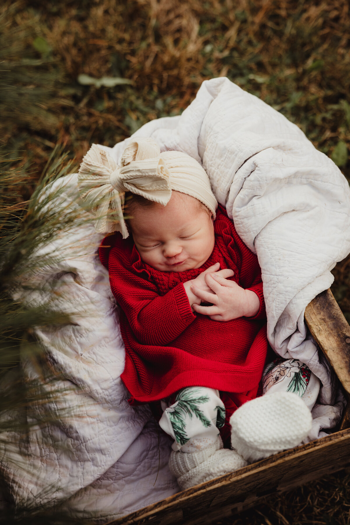 KristeenMarie-Photography-tree-farm-mini-3019