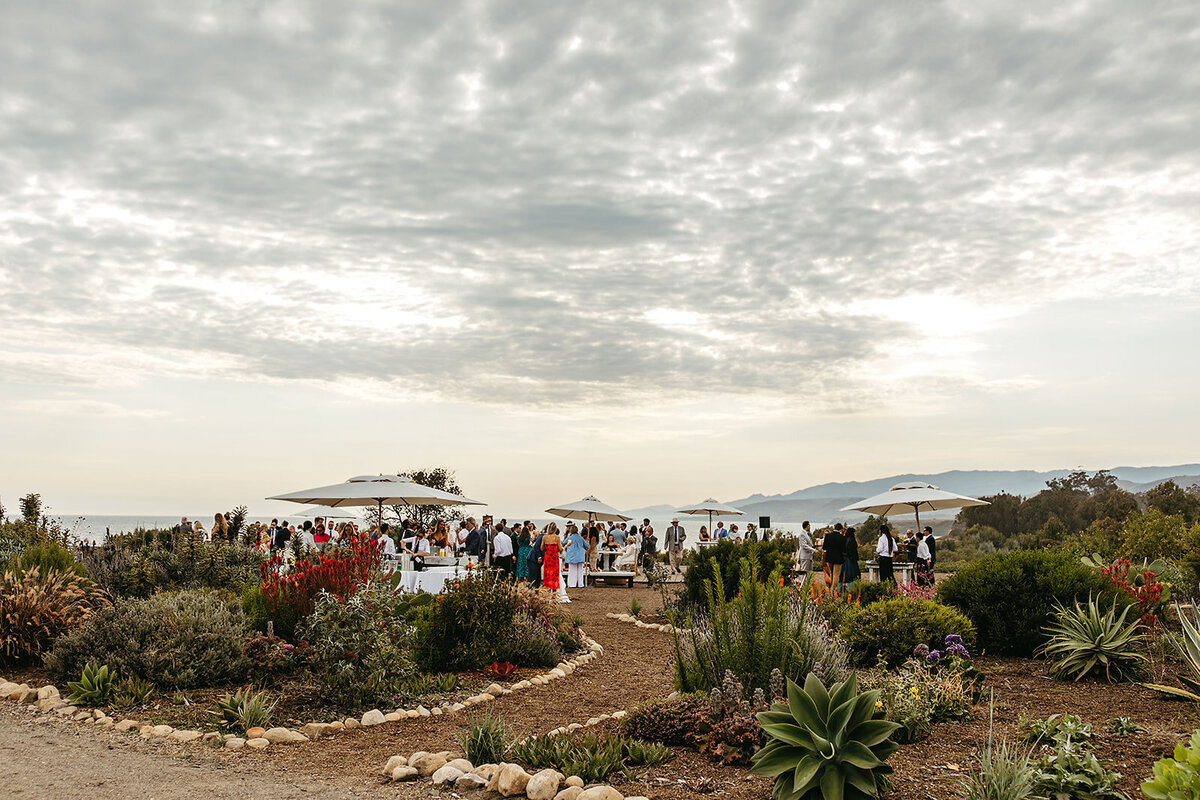 CTwedding553