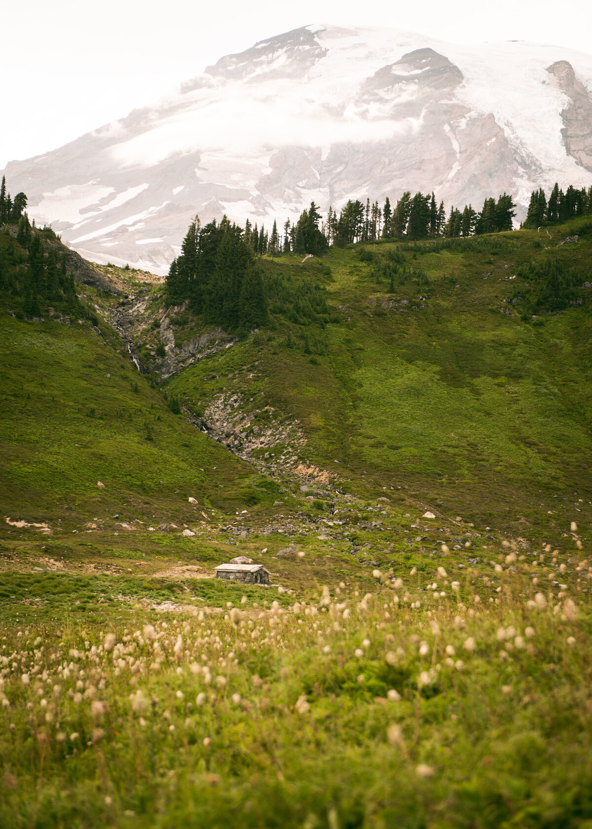 Mount Rainier Seattle Mountain National Park Cabin