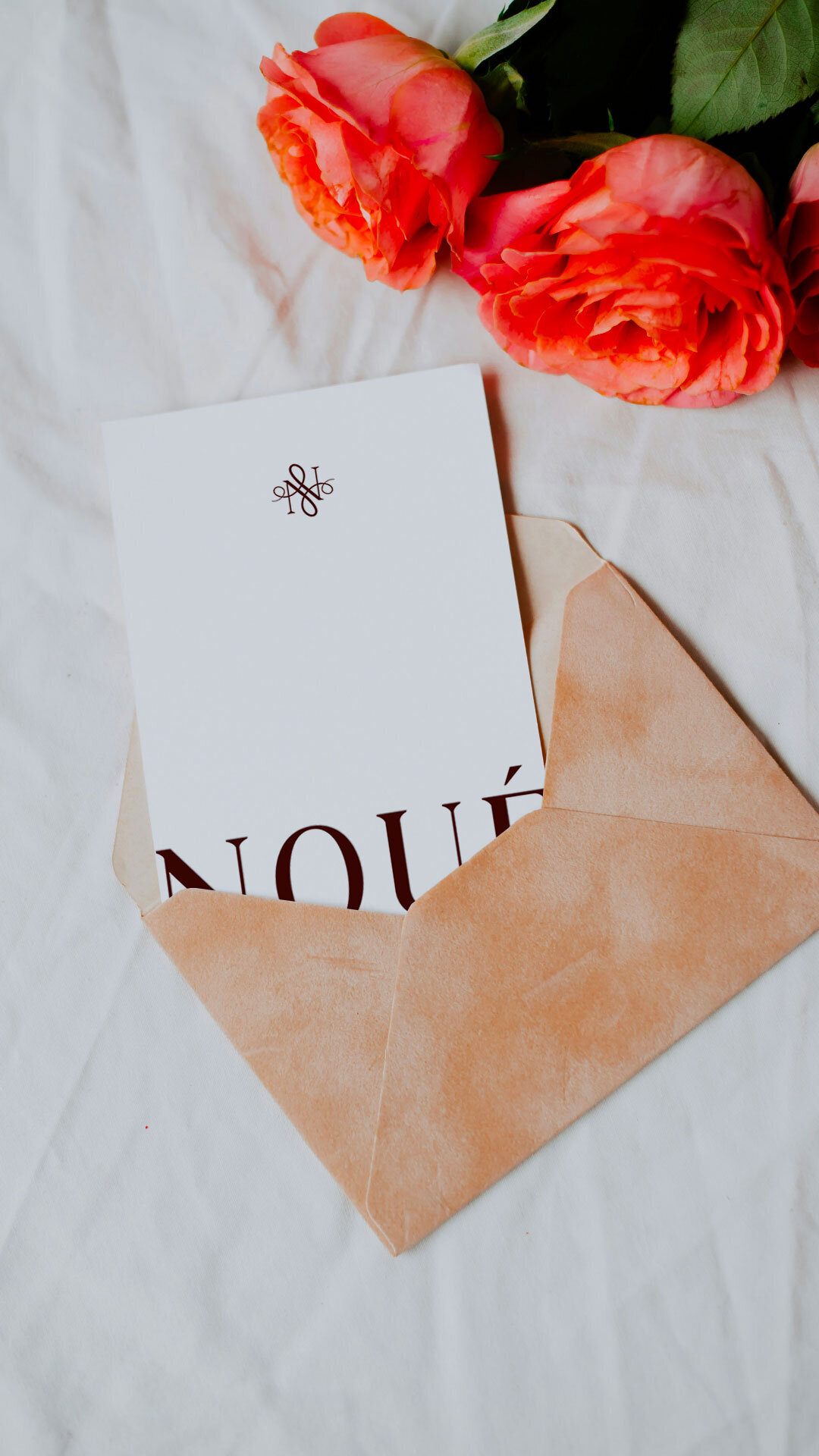 Noue-Agency-Branding