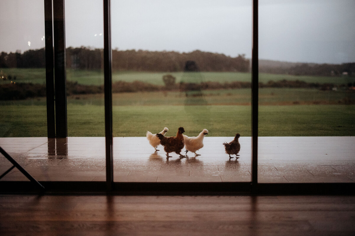 Tiller_Farm_6671